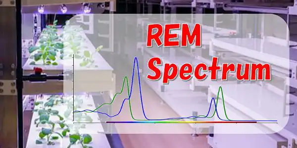 REM-Spectrum